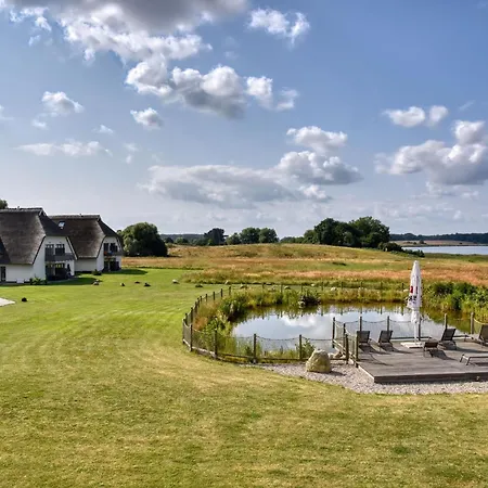 Feldlerche 15 Im Wreecher Idyll Ruegen By Ruyastay * 푸트버스